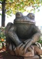 Picture Title - Frog Statue