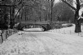 Picture Title - Central Park Bridge