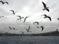 Picture Title - ISTANBUL