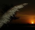 Picture Title - Cold Sunrise