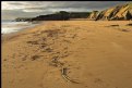 Picture Title - Beach At Goat Island