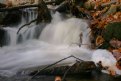 Picture Title - Fall Waterfall 
