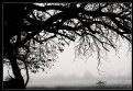 Picture Title - Misty Morning 2