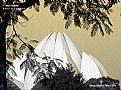 Picture Title - BAHAI TEMPLE