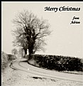 Picture Title - Merry Christmas