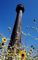 Picture Title - Matagorda Lighthouse