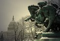 Picture Title - Snow in DC