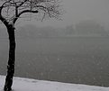 Picture Title - Snowy Tidal Basin