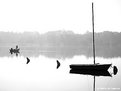 Picture Title - Morning on the Lake