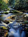 Picture Title - STREAM IN SMOKIES