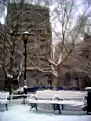 Picture Title - Morning Snow in Stuyvesant Park