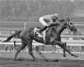 Picture Title - Santa Anita Horse (repost)