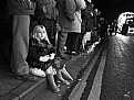 Picture Title - Bridgwater carnival