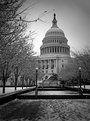Picture Title - Another snowy Capitol