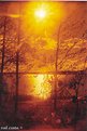 Picture Title - Suomi Sun