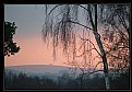 Picture Title - Winter Pastels