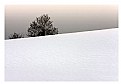 Picture Title - winter