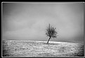 Picture Title - barren county