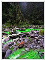 Picture Title - Green River