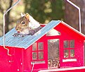 Picture Title - lunch time