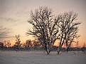 Picture Title - Evening fog