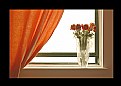 Picture Title - My Window