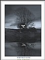 Picture Title - Reflections