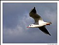 Picture Title - How high is the sky