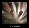 Picture Title - Straw Poles