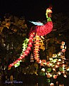 Picture Title - chinese lanterns 24