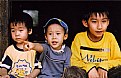 Picture Title - 3 boys