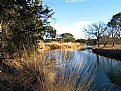 Picture Title - Along Bear Creek