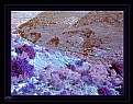 Picture Title - lost in dell