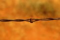 Picture Title - barbed wire