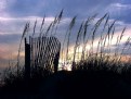 Picture Title - Beach Sunset