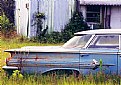 Picture Title - 1959 Chevy: still sitting to be saved!