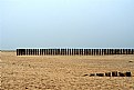 Picture Title - Beach and small dog