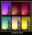 Picture Title - Colors of arena