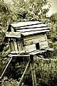 Picture Title - Bird House