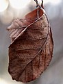 Picture Title - Winter Leaf