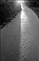 Picture Title - halflight