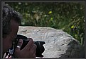 Picture Title - Concentration