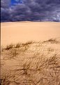 Picture Title - Desert Storm