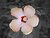 Weird Flower