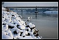 Picture Title - River in winter