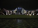 Picture Title - bug's view!