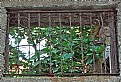 Picture Title - Iron Window