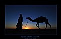 Picture Title - Spirit of the Desert