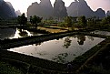 Picture Title - Farmer in rice field