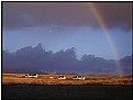 Picture Title - Rainbow, Ardtun